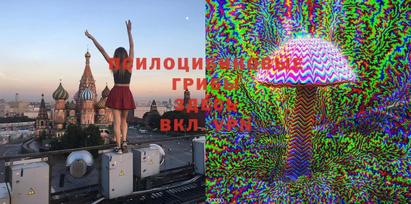 прущие крисы Абаза