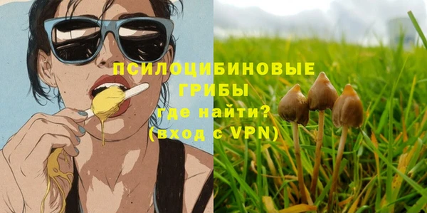 мдпв Абинск