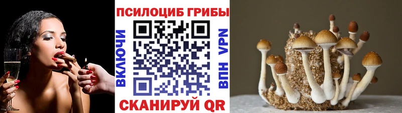Псилоцибиновые грибы мицелий  купить наркотики цена  Сергач 